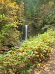 2008_10_30_Mult_Falls_12mi_Oly_0092