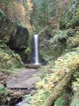 2008_10_30_Mult_Falls_12mi_Oly_0098