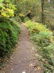 2008_10_30_Mult_Falls_12mi_Oly_0101