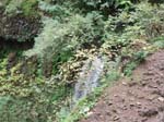 2008_10_30_Mult_Falls_12mi_Oly_0105