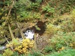 2008_10_30_Mult_Falls_12mi_Oly_0106