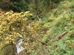 2008_10_30_Mult_Falls_12mi_Oly_0110