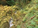 2008_10_30_Mult_Falls_12mi_Oly_0111