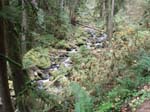 2008_10_30_Mult_Falls_12mi_Oly_0113