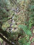 2008_10_30_Mult_Falls_12mi_Oly_0114