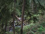 2008_10_30_Mult_Falls_12mi_Oly_0115
