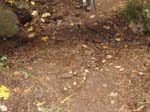 2008_10_30_Mult_Falls_12mi_Oly_0116