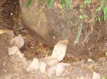 2008_10_30_Mult_Falls_12mi_Oly_0117