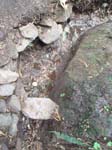 2008_10_30_Mult_Falls_12mi_Oly_0119