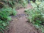 2008_10_30_Mult_Falls_12mi_Oly_0124