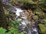 2008_10_30_Mult_Falls_12mi_Oly_0125