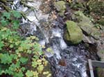 2008_10_30_Mult_Falls_12mi_Oly_0126