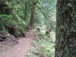 2008_10_30_Mult_Falls_12mi_Oly_0127