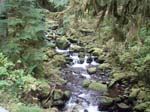 2008_10_30_Mult_Falls_12mi_Oly_0129