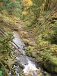 2008_10_30_Mult_Falls_12mi_Oly_0131