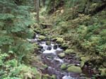 2008_10_30_Mult_Falls_12mi_Oly_0132