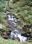 2008_10_30_Mult_Falls_12mi_Oly_0133