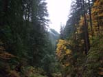 2008_10_30_Mult_Falls_12mi_Oly_0134