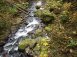 2008_10_30_Mult_Falls_12mi_Oly_0135