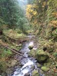 2008_10_30_Mult_Falls_12mi_Oly_0136