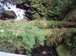 2008_10_30_Mult_Falls_12mi_Oly_0137