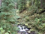 2008_10_30_Mult_Falls_12mi_Oly_0138