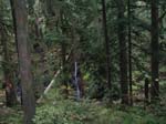 2008_10_30_Mult_Falls_12mi_Oly_0143