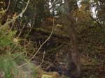2008_10_30_Mult_Falls_12mi_Oly_0144