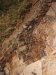 2008_10_30_Mult_Falls_12mi_Oly_0146
