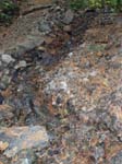 2008_10_30_Mult_Falls_12mi_Oly_0147
