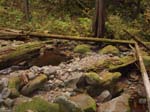 2008_10_30_Mult_Falls_12mi_Oly_0149