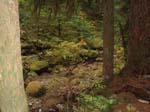 2008_10_30_Mult_Falls_12mi_Oly_0150
