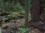 2008_10_30_Mult_Falls_12mi_Oly_0151