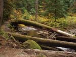 2008_10_30_Mult_Falls_12mi_Oly_0152