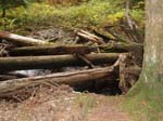 2008_10_30_Mult_Falls_12mi_Oly_0153