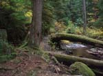 2008_10_30_Mult_Falls_12mi_Oly_0154