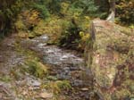 2008_10_30_Mult_Falls_12mi_Oly_0156