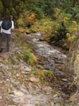 2008_10_30_Mult_Falls_12mi_Oly_0157