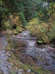 2008_10_30_Mult_Falls_12mi_Oly_0159