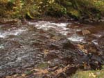 2008_10_30_Mult_Falls_12mi_Oly_0160