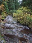 2008_10_30_Mult_Falls_12mi_Oly_0162