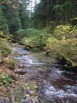 2008_10_30_Mult_Falls_12mi_Oly_0163