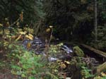 2008_10_30_Mult_Falls_12mi_Oly_0164