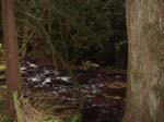 2008_10_30_Mult_Falls_12mi_Oly_0166