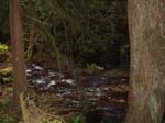 2008_10_30_Mult_Falls_12mi_Oly_0167