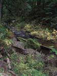 2008_10_30_Mult_Falls_12mi_Oly_0170
