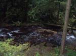 2008_10_30_Mult_Falls_12mi_Oly_0171