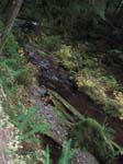 2008_10_30_Mult_Falls_12mi_Oly_0172