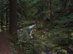 2008_10_30_Mult_Falls_12mi_Oly_0173