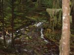 2008_10_30_Mult_Falls_12mi_Oly_0174